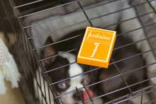 Load image into Gallery viewer, Fontaine Playing Cards