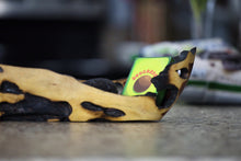 Load image into Gallery viewer, Organic Playing Cards