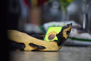 Organic Playing Cards